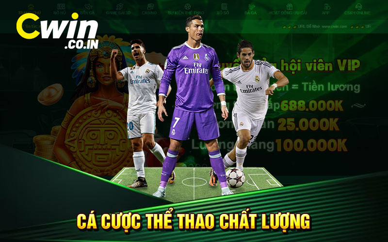 Sảnh Cá Cược Thể Thao Cwin Hấp Dẫn