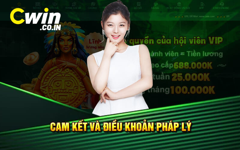 Cam Kết Và Điều Khoản Pháp Lý