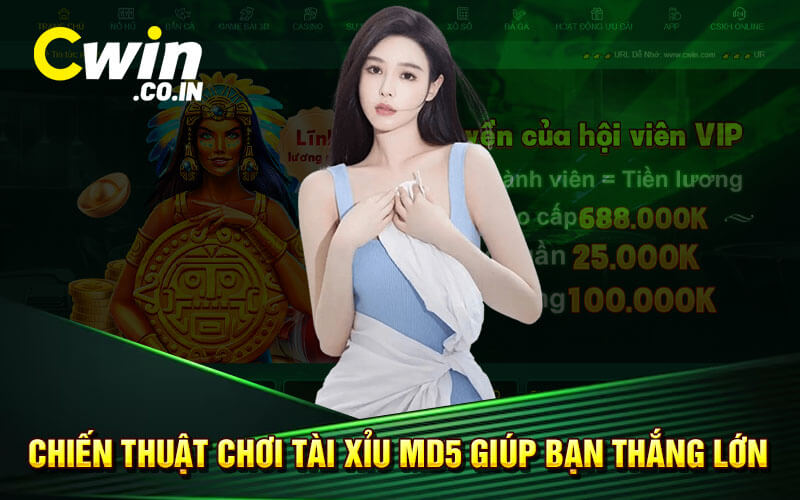 Chiến thuật chơi tài xỉu MD5 giúp bạn thắng lớn