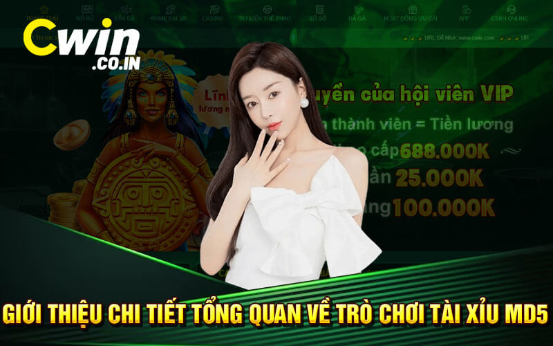 Giới thiệu chi tiết tổng quan về trò chơi tài xỉu MD5