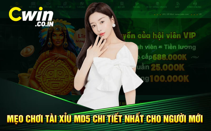 Mẹo chơi tài xỉu MD5 chi tiết nhất cho người mới