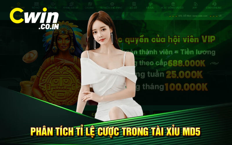 Phân tích tỉ lệ cược trong tài xỉu MD5